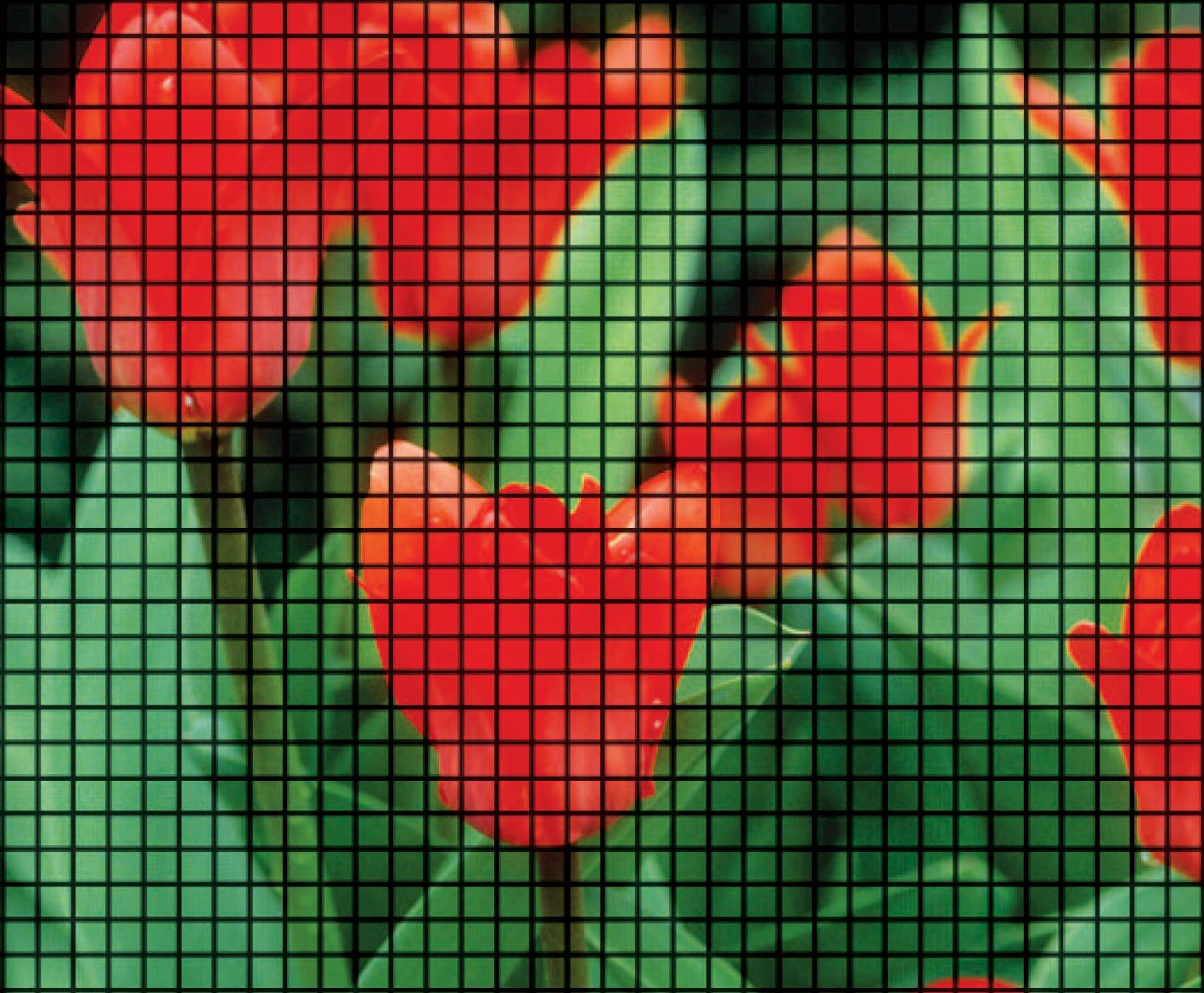 ThruVision Plus Screen