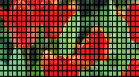 Industry Standard Screen